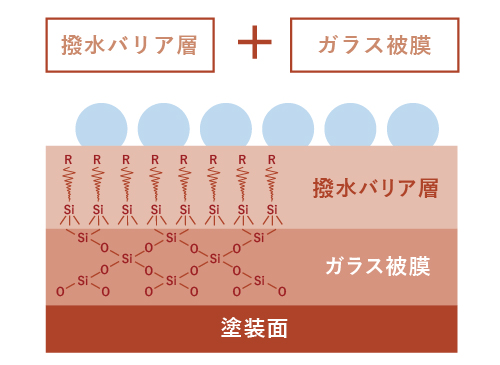 撥水バリア＋ガラス皮膜